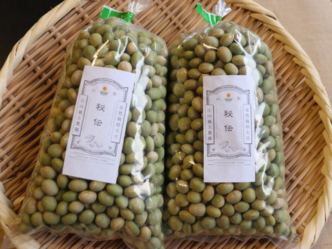 ◎自然栽培◎秘伝大豆600g《令和6年・山形県鶴岡産》
