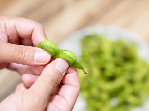ほっくりコク旨丹波篠山黒枝豆を日時指定便でお届けします♪
