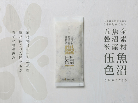 【R7年産】全素材魚沼産五穀米「魚沼伍色-うおぬまごしき-」300g×10個真空パックセット　無洗米