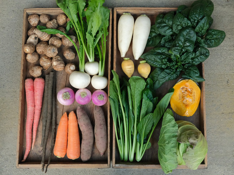 年末限定！多めのお野菜セット〈里芋は必ず1kg入ります！〉