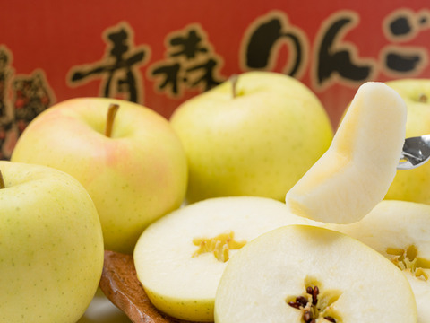 甘～いりんごが好きな方にピッタリな品種☆
青森県イチオシの品種☆トキ ５kg(大玉～中玉) 約１６ー２０個