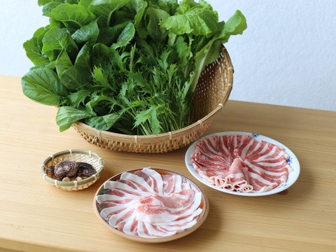 【冬ギフト】「阿蘇蔵野菜」と「阿蘇どんぐりポーク」しゃぶしゃぶセット (3～4人前)