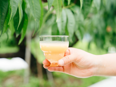 【福袋2025】桃尽くしセット〜桃3個と桃100%ジュース1本