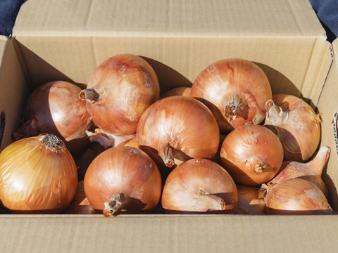兵庫あんしんブランド認証！新鮮！淡路島産玉ねぎ10kg