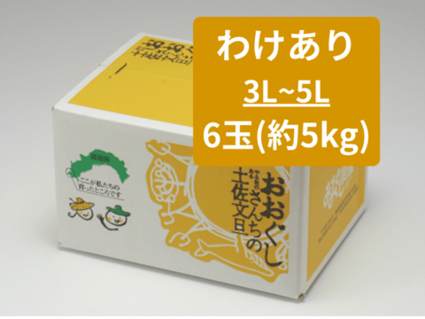【土佐文旦訳あり文旦大玉6玉（3-5L）】日本で一番みかんと暮らしてる私たちにお任せください！