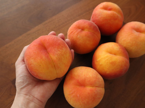 クセになる食感！早生ワッサー 家庭用 約2.4kg（10～13玉）【朝どれ】