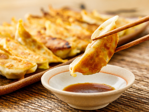 【冬ギフト】鹿肉ざんまい！MOMIJI鹿　満喫食べ比べ3種セット（ギョーザ20個、味付鹿肉200g×2p）