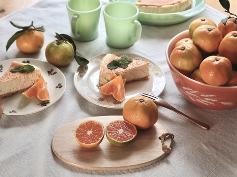 熊本県産極早生みかん　３キロ（訳あり品）