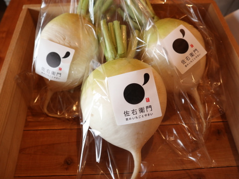 京伝統野菜・聖護院大根　３本（約４kg）