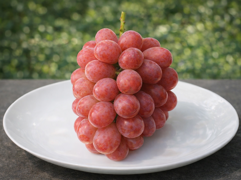 赤いシャインマスカット『希少品種』KOSHUスカーレット1㎏セット（500～600g×2房程度）