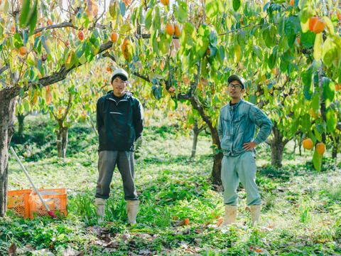 優品プレミアム干柿SHUKU8玉