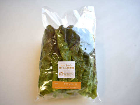 和らぎ農法　チマサンチュ　大（1袋）