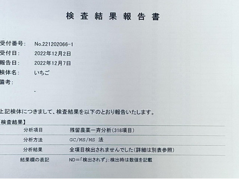 【お得意様限定】フローズンいちご（1㎏×2）簡易箱入り