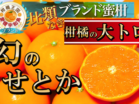 🍊リピータ量産し続ける柑橘の大トロ🍊【2026年3月予約】あっという間に完売してしまう『幻のせとか』傾斜35度の崖上で収穫される希少な宇和島ブランドみかん【大容量約3kg】