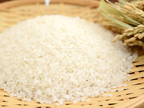 令和5年産【白米5kg】 信州産 農薬不使用米 こしひかり 《受注精米》