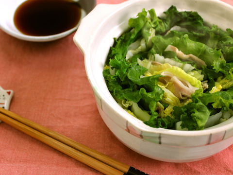 【お鍋もおススメ!】柔らかく、苦みが少ないサラダケールなど、こだわりの野菜「きらきらベジ」5品目のお試しセットです。【5品目×各2パック】