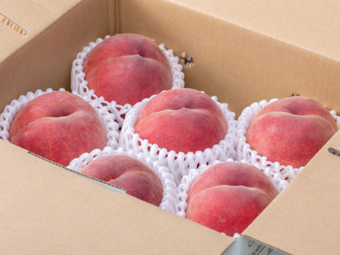 まどか・1.5kg程度/パリッと硬くて甘くて味が濃い！