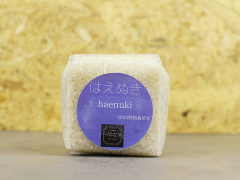 【庄内平野産】特別栽培米こだわり農家の「はえぬき」2合（300ｇ）キューブパック