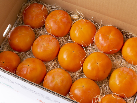 【限定200セット】秋のフルーツの王様!　富有柿 産地直送 贈答用 5kg (15個)