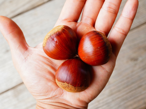 🌰熊本県産 自然栽培和栗 1kg サイズいろいろ🌰：熊本県産の