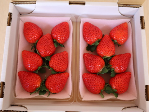 大粒！
厳選完熟とちあいか