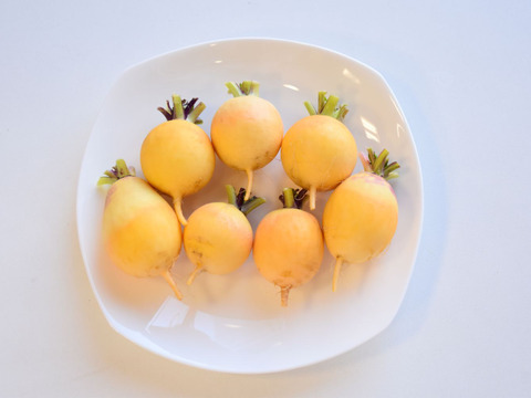 和らぎ農法　黄金かぶ　大（1袋）（3～8個）