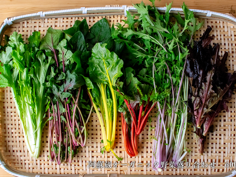 【夏ギフト】【ギフト】【Lサイズ】冷しゃぶサラダセット (4～5人前)