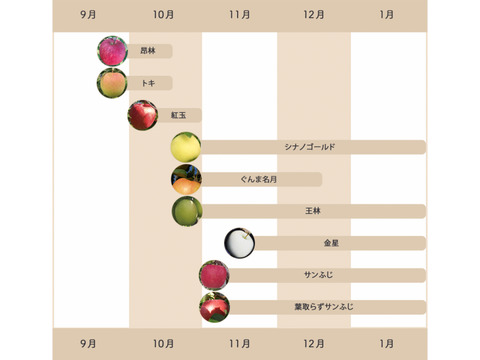 【今！旬！】りんご詰め合わせ　ご家庭用3kg(7~12玉) りんごの名産地青森広船より
