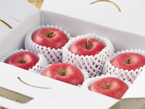 りんご  ひろさきふじ（早生ふじ） りんごの王様ふじ系人気品種！8～5個程度（2kg程度）