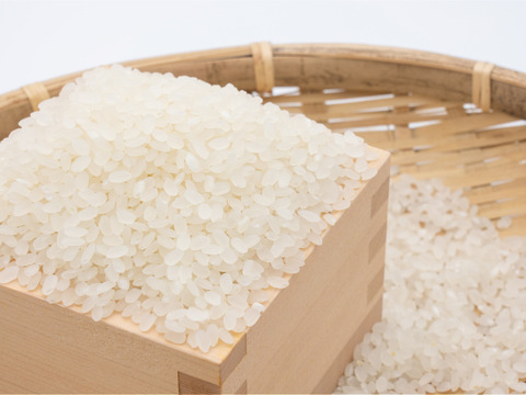 【定期便3ヶ月/淡路島コシヒカリ5kg】お米　令和5年産　コシヒカリの定期便