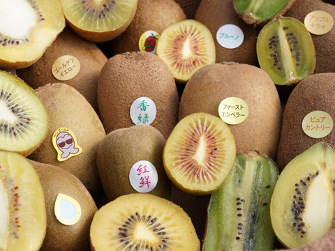 スウィートキウイ3種セット（中身は農家がその時期にあった一番おいしいものを厳選して発送いたします）S箱６個入り！