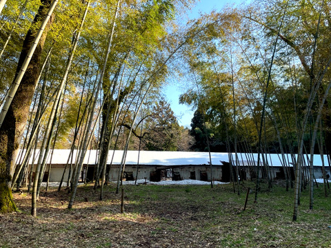 【2026年産】旬の天然タケノコ2kg（富山県氷見産 / ふるさと納税可）/ 栽培期間中、農薬・化学肥料・除草剤不使用［朝掘り採れたて発送］