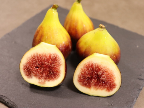 【金賞受賞いちじく】ビオレソリエス＆ブルジャソットグリース　12個入り