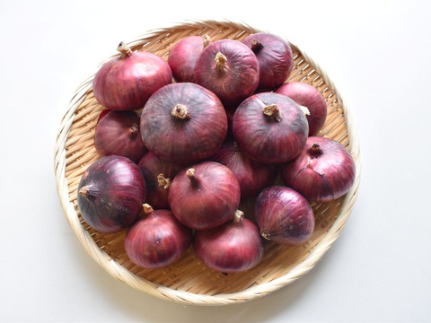 和らぎ農法　極みの赤玉ねぎ便（約2.5kg）