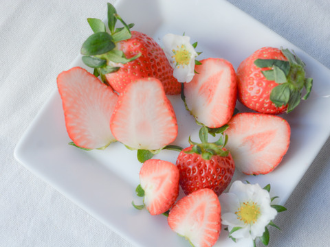 【おまかせ食べ比べ】平詰めDX1箱2パックやよいひめ•よつぼし•おいCベリーから、採れたての新鮮ないちごを2品種、サイズおまかせでお届け！甘さ、味の違いを楽しんで！