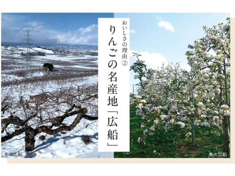 【今！旬】りんご＆ジュース詰め合わせ3kg　ギフト/贈答用　りんごの名産地青森広船より