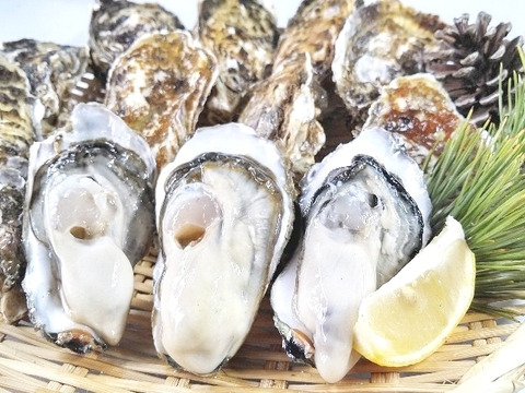 【7周年福袋】現時点残り15セット 急速冷凍の生食用牡蠣 ３kg（約28個）とコウイカ２杯のセット「甲いか 甲イカ スミイカ 冷凍牡蠣 冷凍牡蛎 oyster オイスター イカ刺身 刺し身 松島牡蠣屋