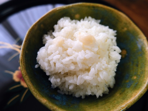 一度食べてほしい綾町産有機ニンニクのセット(おまけ付き)