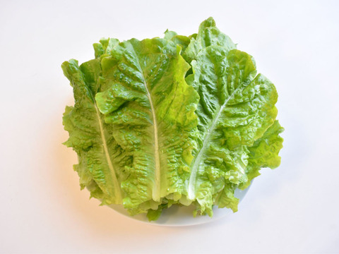 和らぎ農法　チマサンチュ　大（1袋）