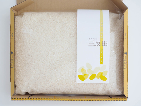 信州産ヘメロカリス宅急便コンパクトに入るだけ