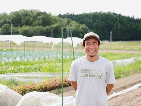 京都からお届け！南丹神吉で育った自然栽培の野菜セットSサイズ【4から5品目】