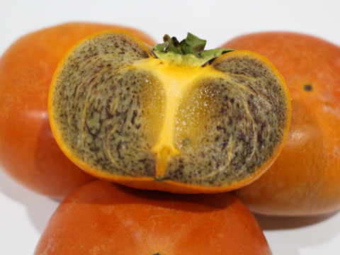 【11月中旬～下旬発送】希少！黒ゴマの紀の川柿　約1.8kg (6~8玉）