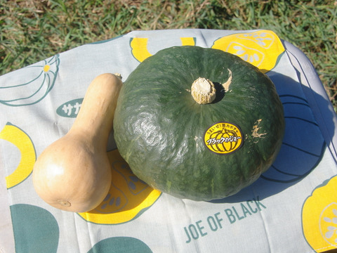 栗かぼちゃ系ブラックのジョー1.4kgとバターナッツ0.4㎏のかぼちゃセット🎃【節減対象農薬・化学肥料：栽培期間中不使用】