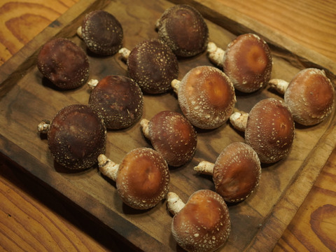 山育ち『原木椎茸』500g