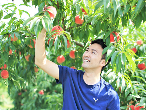 ＜2025年先行予約＞【桃：まどか・3kg程度】パリッと硬くて甘くて味が濃い！