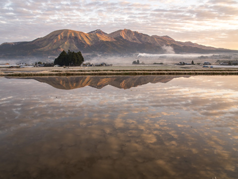 清流のめぐみ！熊本南阿蘇産、農薬化学肥料不使用ヒノヒカリ白米5kg