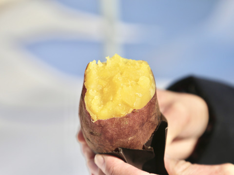 ご家庭用　ねっとりトロトロ！冷凍焼き芋 3kg