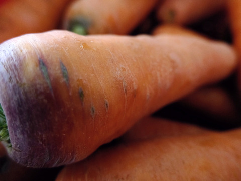 香りが濃い～🥕皮ごと食べたい
訳アリ有機人参 宮崎県綾町産(ご家庭用 箱込5kg)
