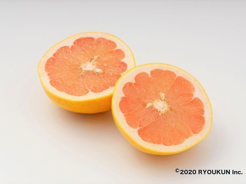 【柑橘食べ比べ】国産グレープフルーツ(白３玉＋ピンク２玉）