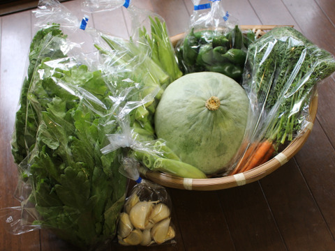 肌つや野菜セット（おまかせ３～５種類）栽培期間中は農薬不使用
